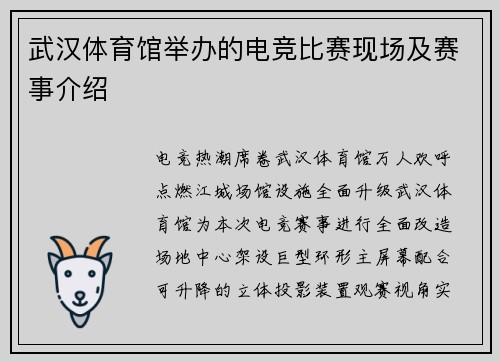 武汉体育馆举办的电竞比赛现场及赛事介绍